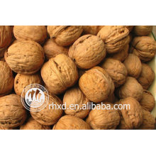 best quality inshelled walnuts manufacturer